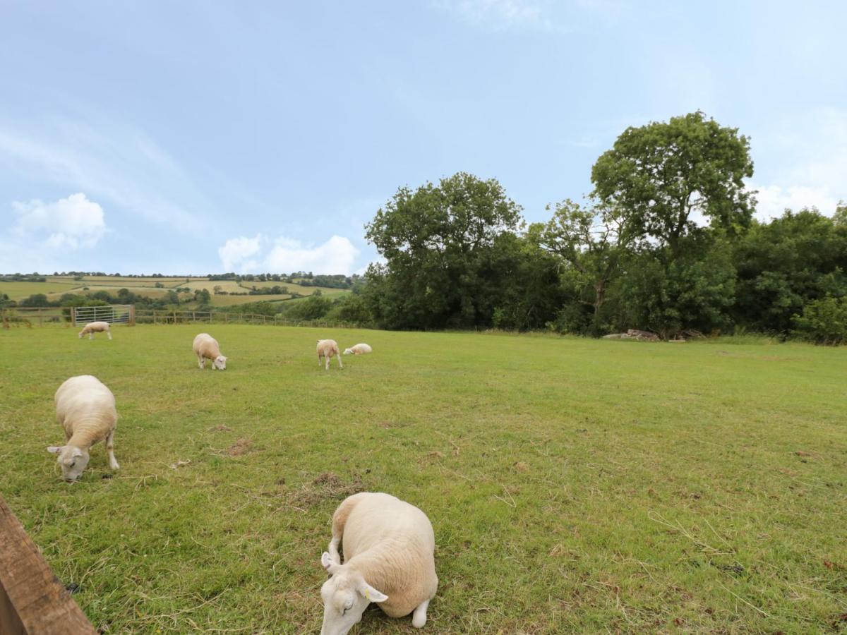 Holmer Farm Leominster Exterior foto
